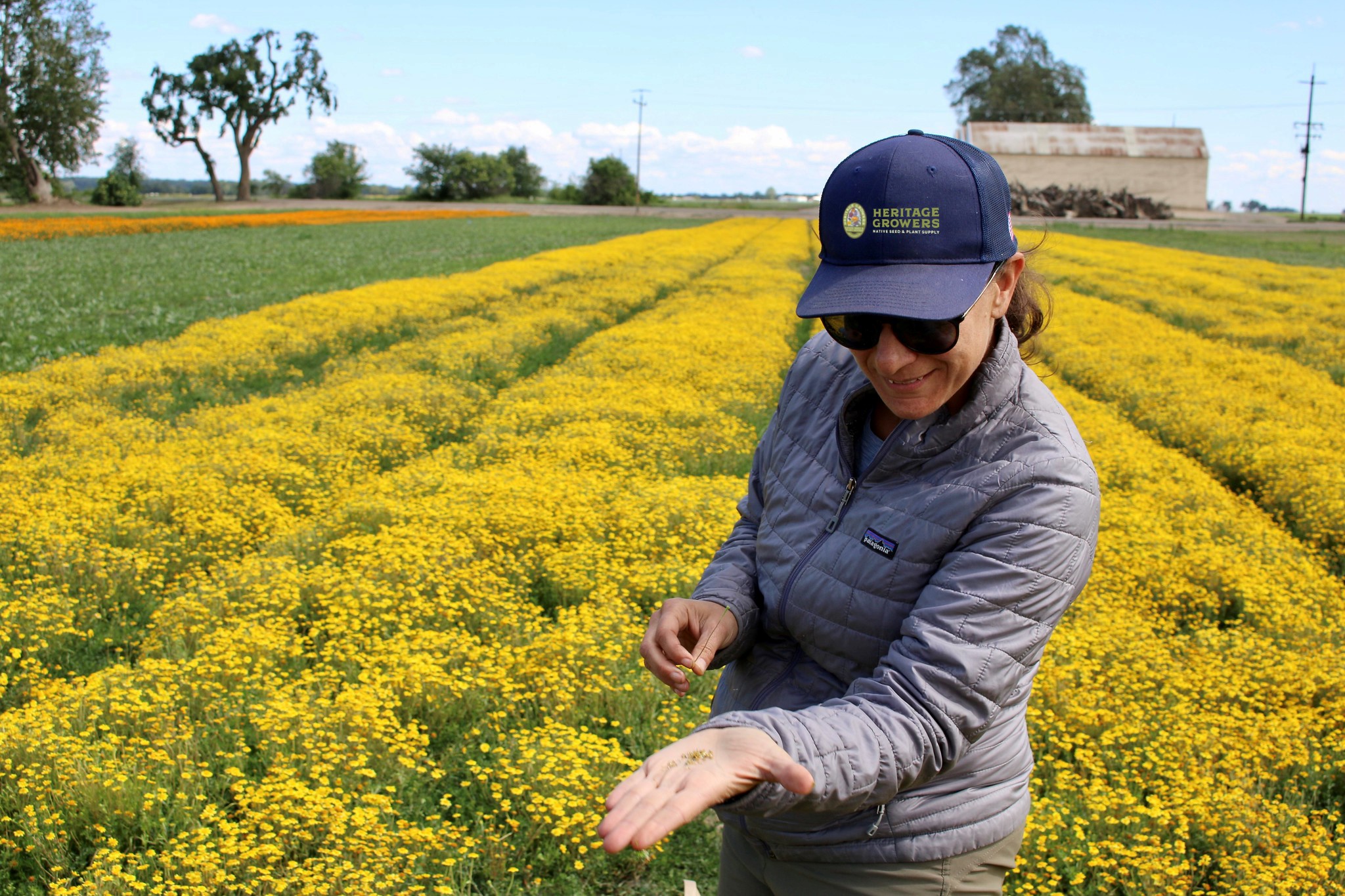 Heritage Growers